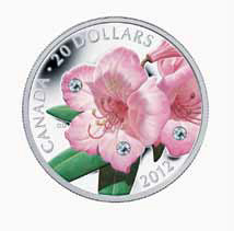 Rhododendron coin